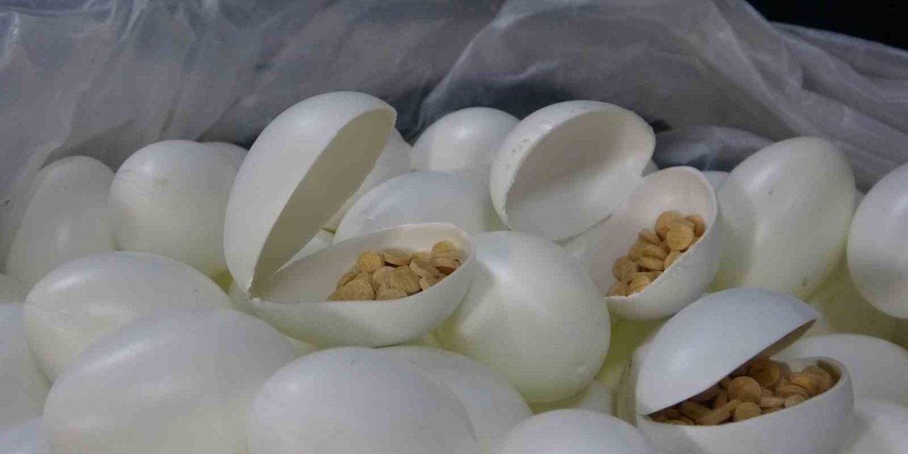 Sürpriz Yumurtalardan Uyuşturucu Çıkmıştı: 6 Şüpheli Tutuklandı