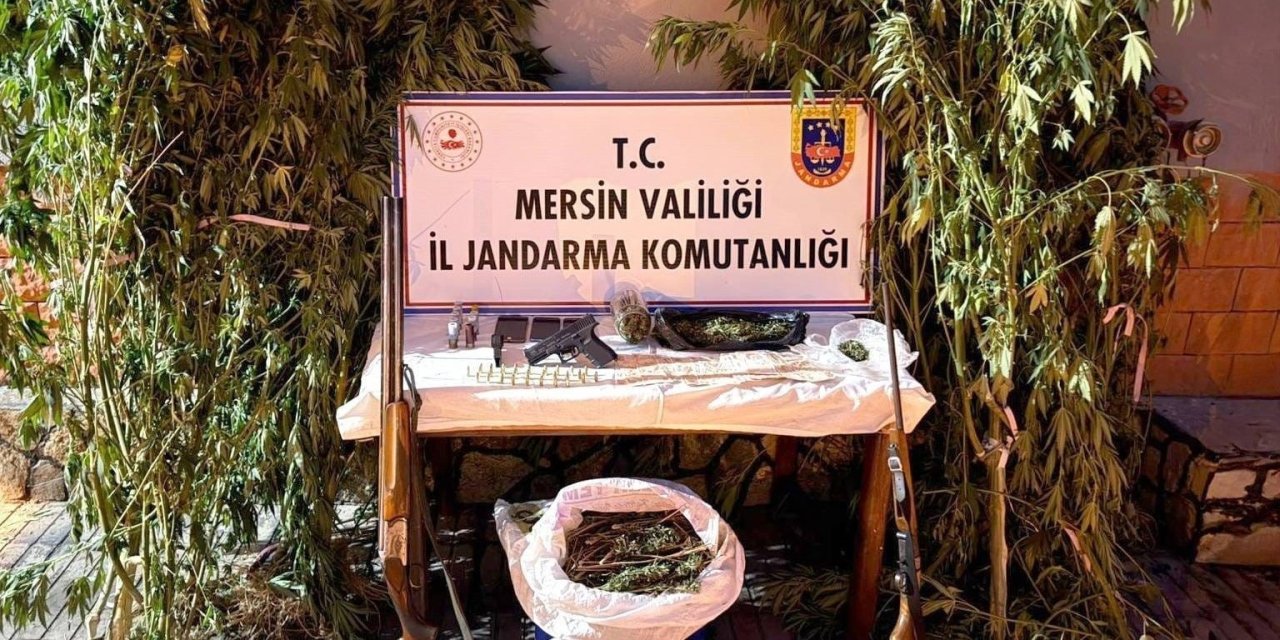 Mersin’de Bahçelerine Kenevir Eken 3 Şüpheli Yakalandı