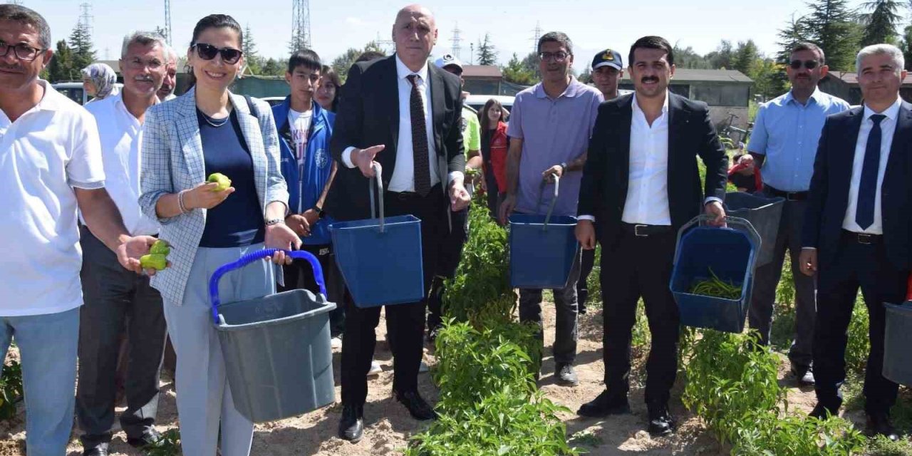 Karapınar’da "doğayla El Ele Öğreniyorum, Üretiyorum, Paylaşıyorum" Projesi Meyvelerini Veriyor