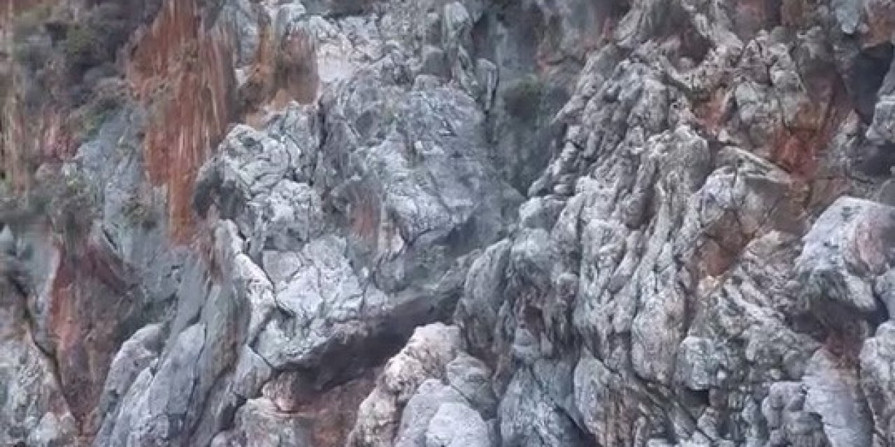 Alanya’da Denize Ölümüne Atlayış