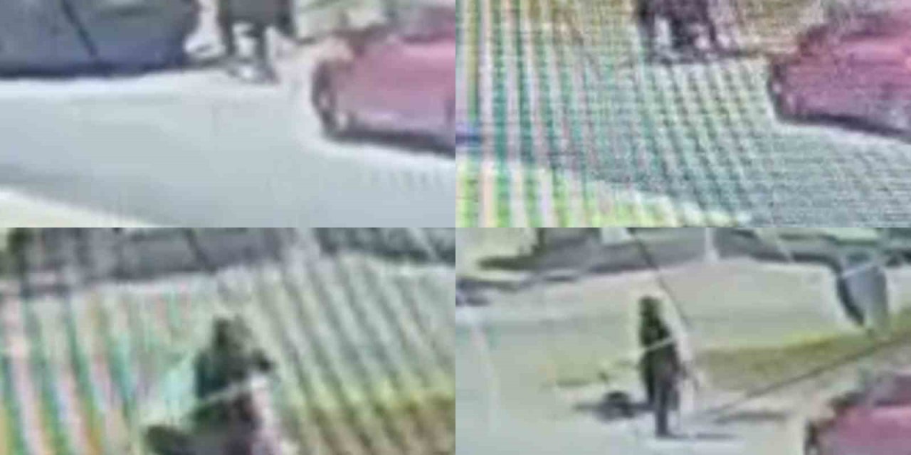 Yol Kenarında Kadın Arkadaşını Öldürüp Kendini Vurmuştu: Şüpheli Taburcu Edilip Tutuklandı