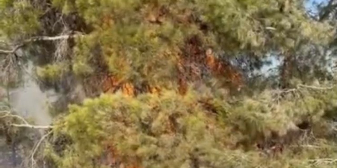 Mersin Erdemli’de Orman Yangını Büyümeden Söndürüldü