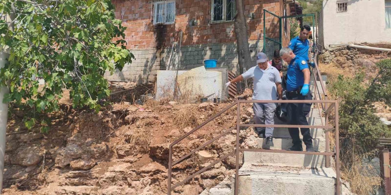 Gürültüyü Devrilen Kedi Köpek Maması Zannettiler, Gerçek Sabah Ortaya Çıktı