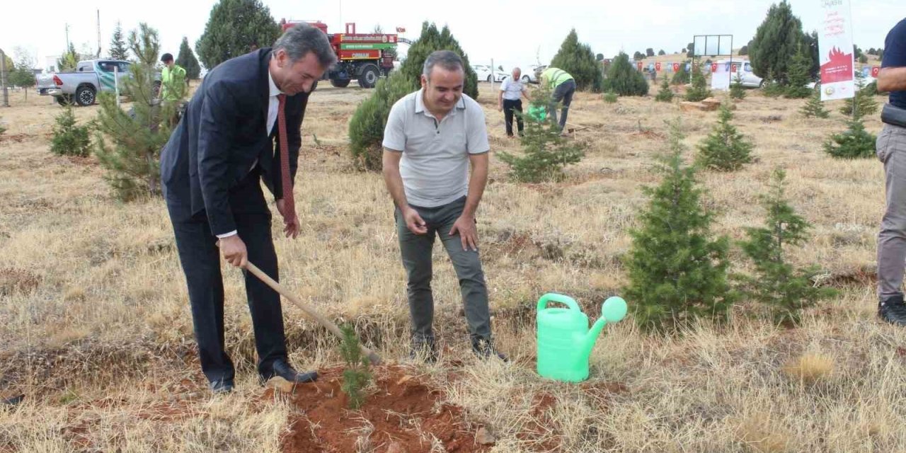 Beyşehir’de İlköğretim Haftası’nda Fidanlar Toprakla Buluşturuldu