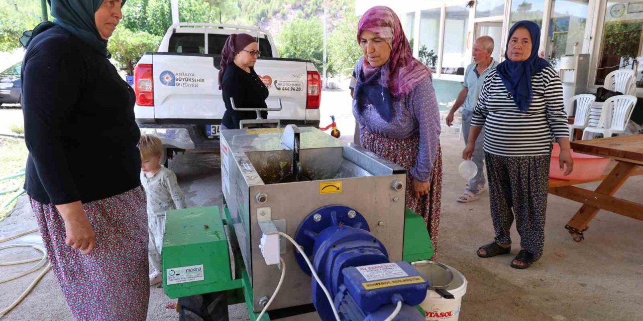 Çizmeler Rafa Kalktı Pekmez Üretimi Kolaylaştı