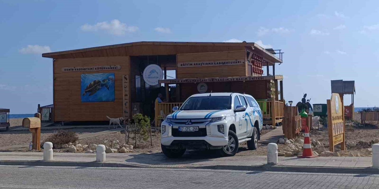 Antalya’da ’deniz Kaplumbağası Ambulansı’ Göreve Başladı