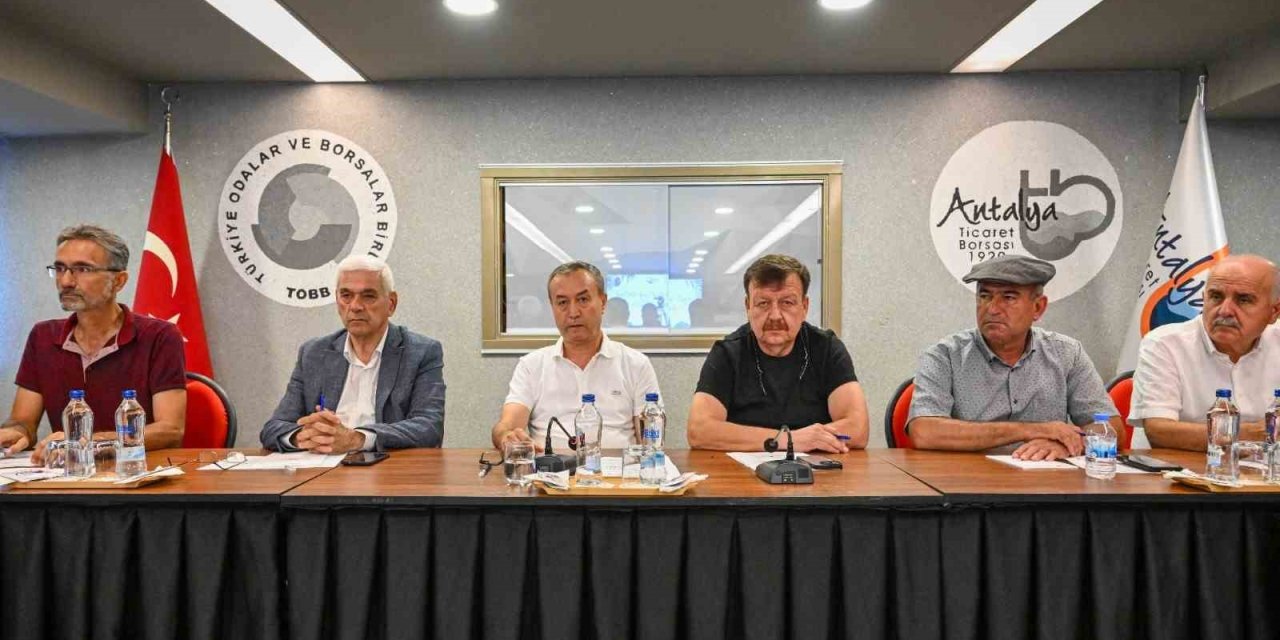 Atb’de Zeytin Ve Zeytinyağının Sektörel Analizi Yapıldı