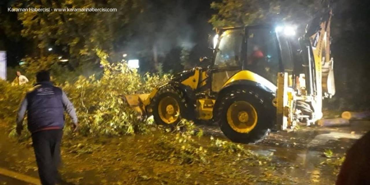 Antalya'nın Kumluca İlçesinde Fırtına Ağaçları Kökünden Söktü
