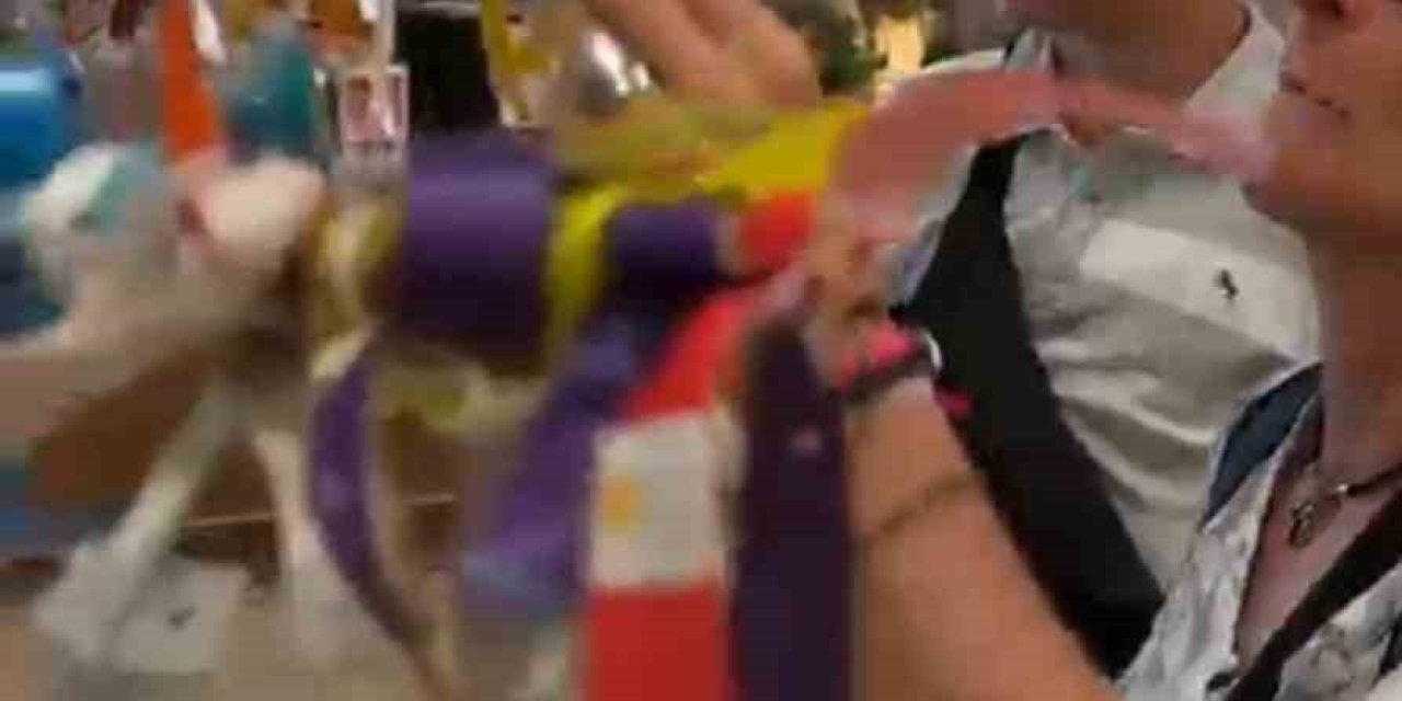 Havalimanındaki Dilek Ağacı Her Şey Dahil Ağacına Döndü