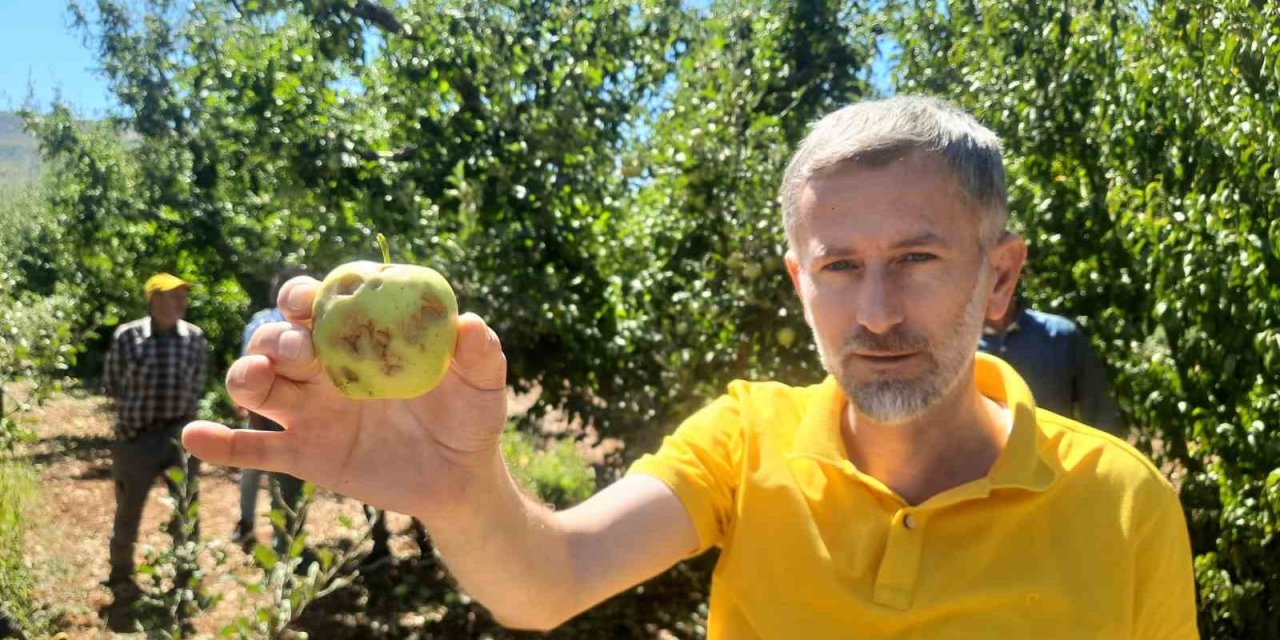 Konya’da Dolu Etkili Oldu, Bahçeler Büyük Zarar Gördü