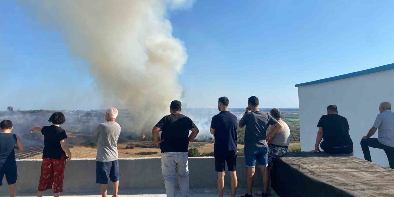 Antalya’da Makilik Alanda Çıkan Yangın Zeytin Ağaçlarına Zarar Verdi