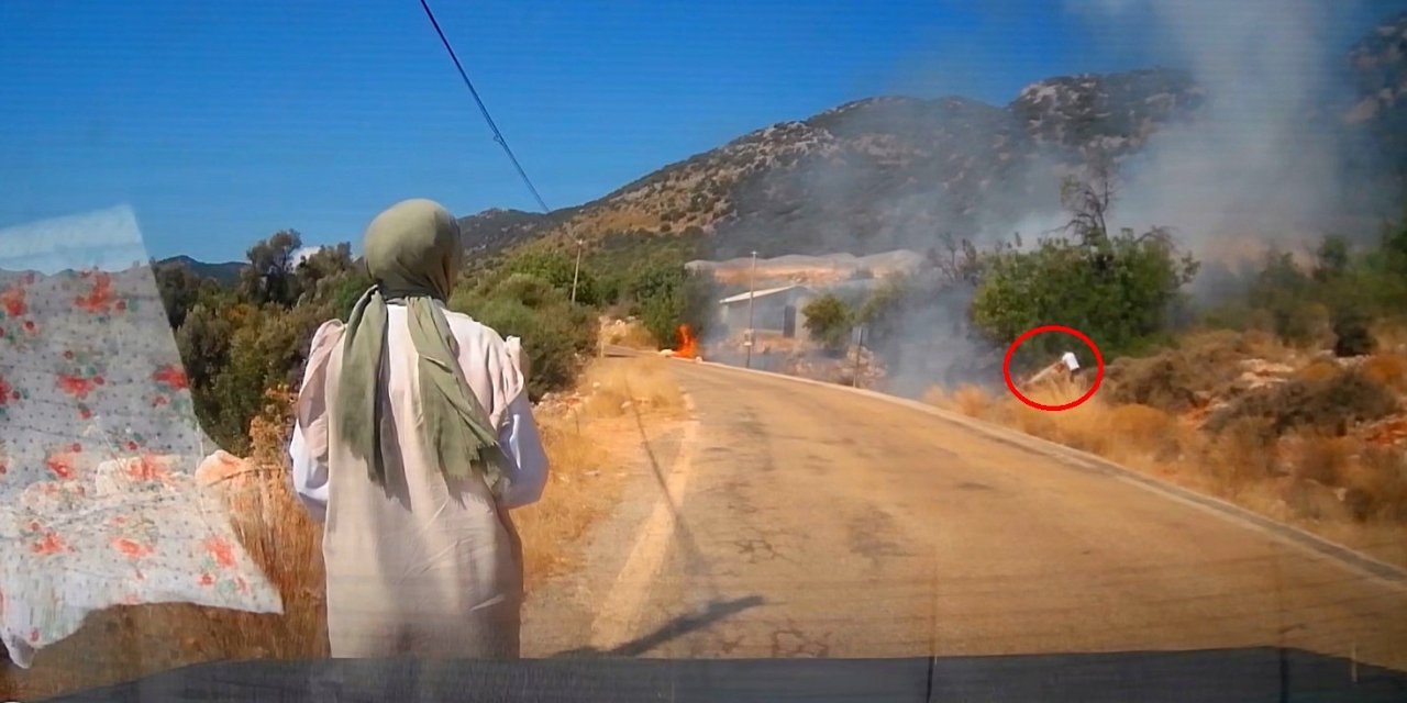 Yol Kenarındaki Yangını Gören Tatilci Aile Alevlere Yangın Tüpüyle Müdahale Etti