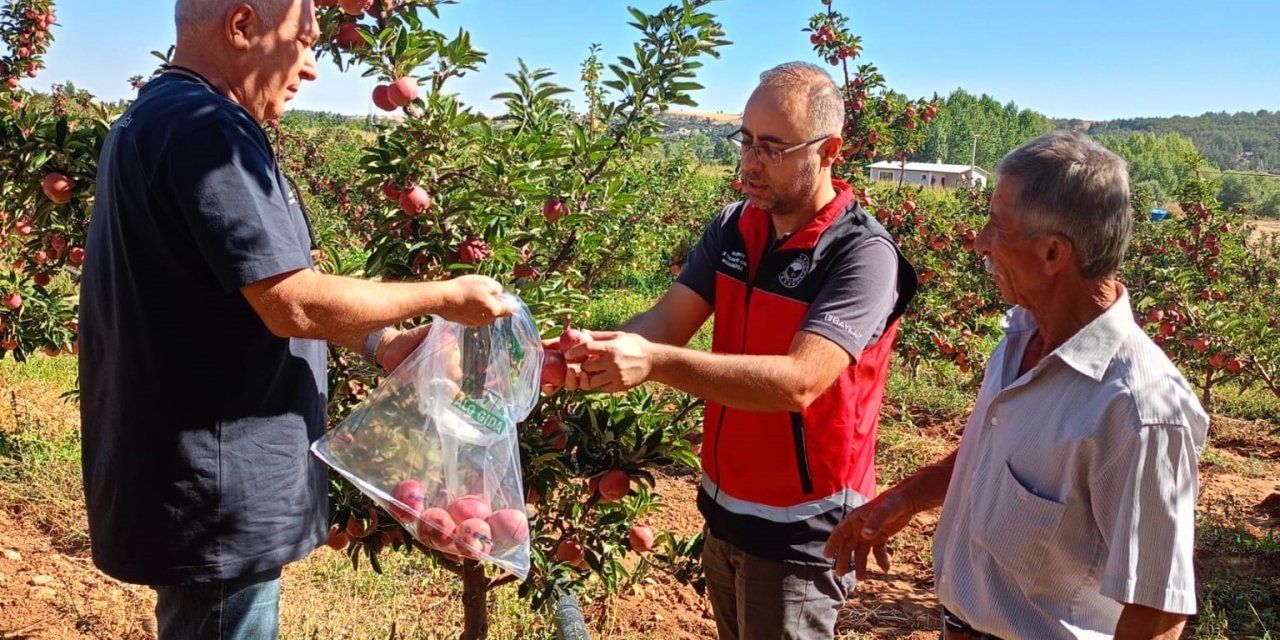 Beyşehir’de Hasat Öncesi Pestisit Denetimleri