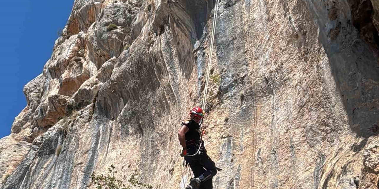 Uçurumda Mahsur Kalan Keçi, İtfaiye Ekiplerince Kurtarıldı