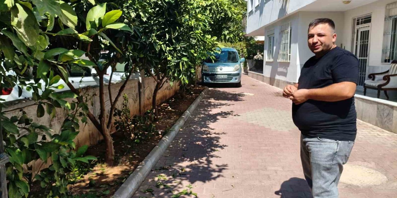 Antalya’da Portakal Koparma Kavgası