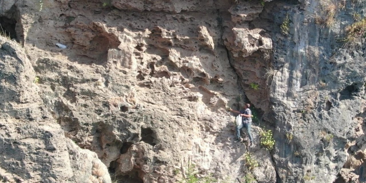 Denize Sıfır Sarp Kayalıklarda Ot Topluyor, Gören İtfaiyeyi Arıyor