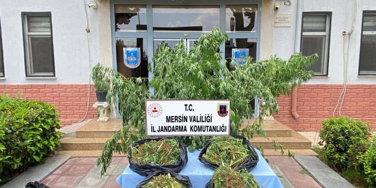 Mersin’de Zehir Tacirlerine Darbe