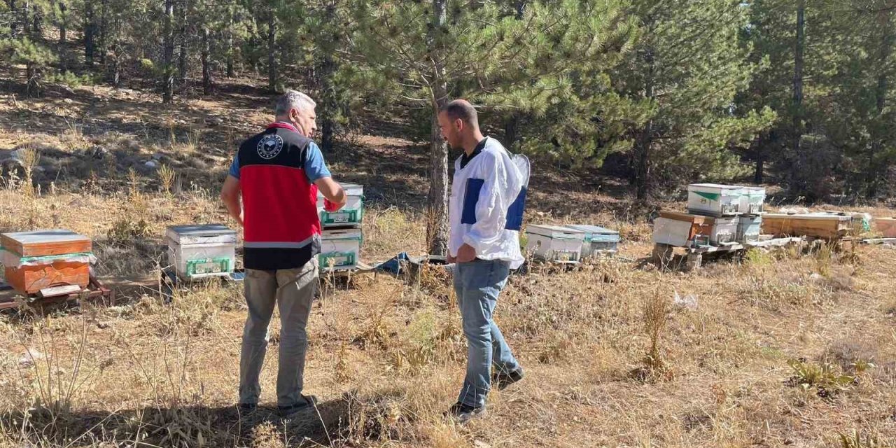 Beyşehir’de Arılı Kovan Sayımları Yapılıyor