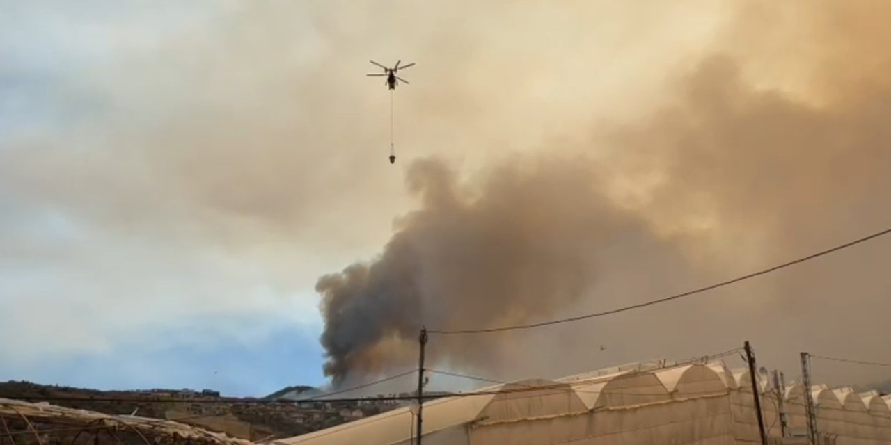 Alanya’daki Orman Yangını Yeniden Alevlendi