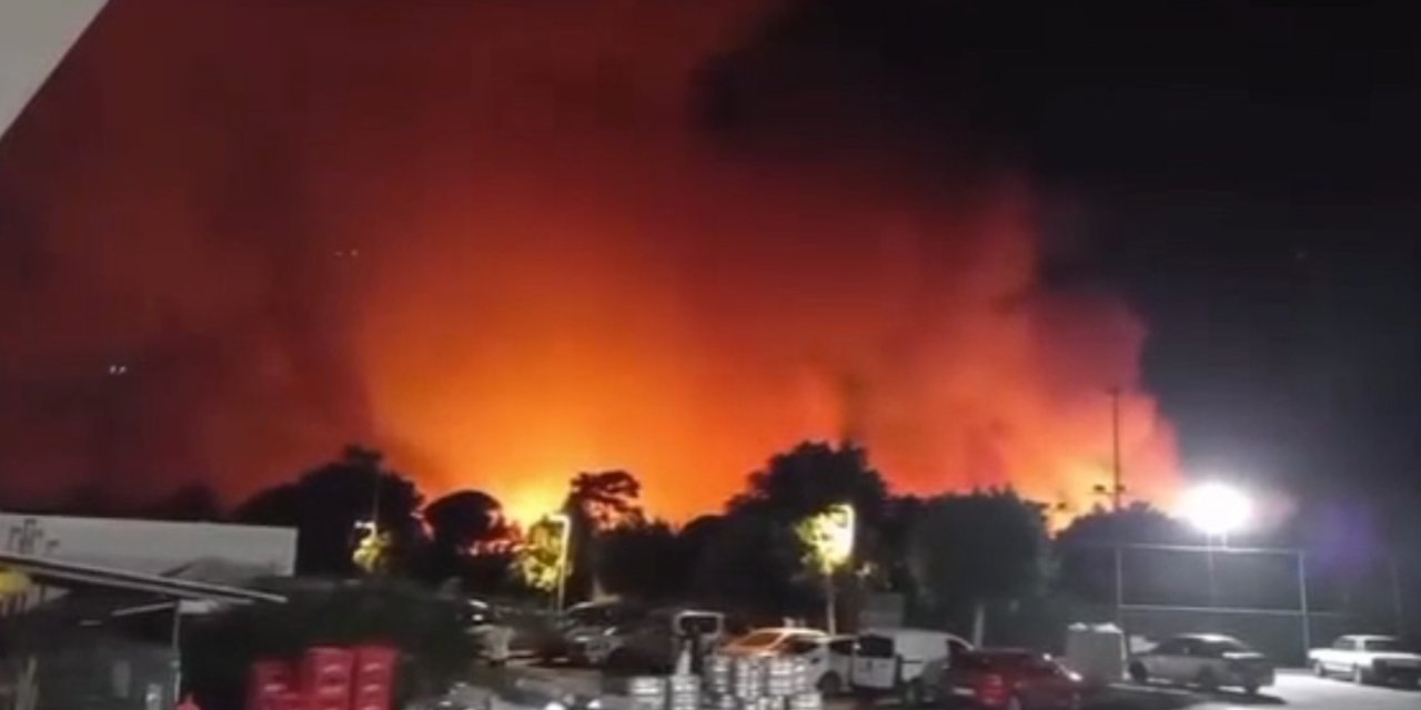 Antalya Aksu’da Ormanlık Alanda Yangın
