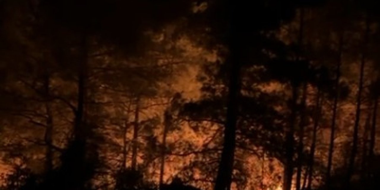 Alanya’da Ormanlık Alanda Yangın