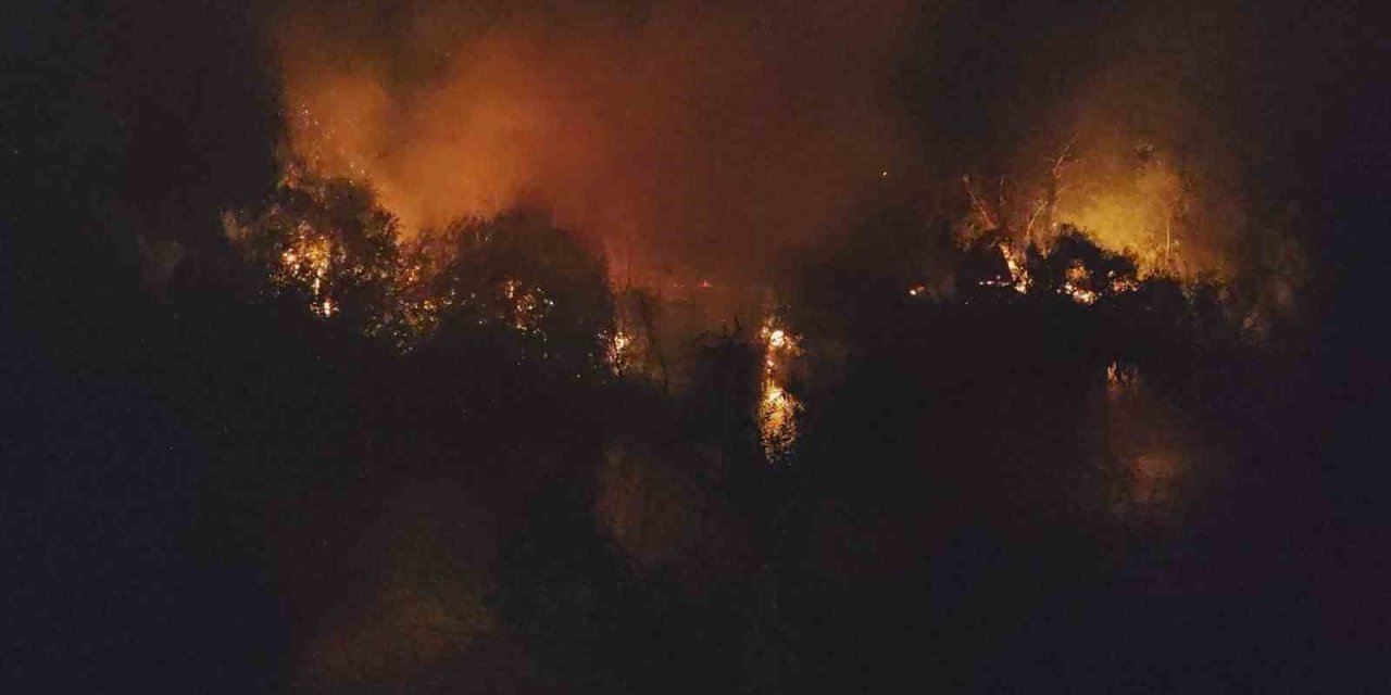 Manavgat’ta Irmak Kenarındaki Yangın Korkuttu