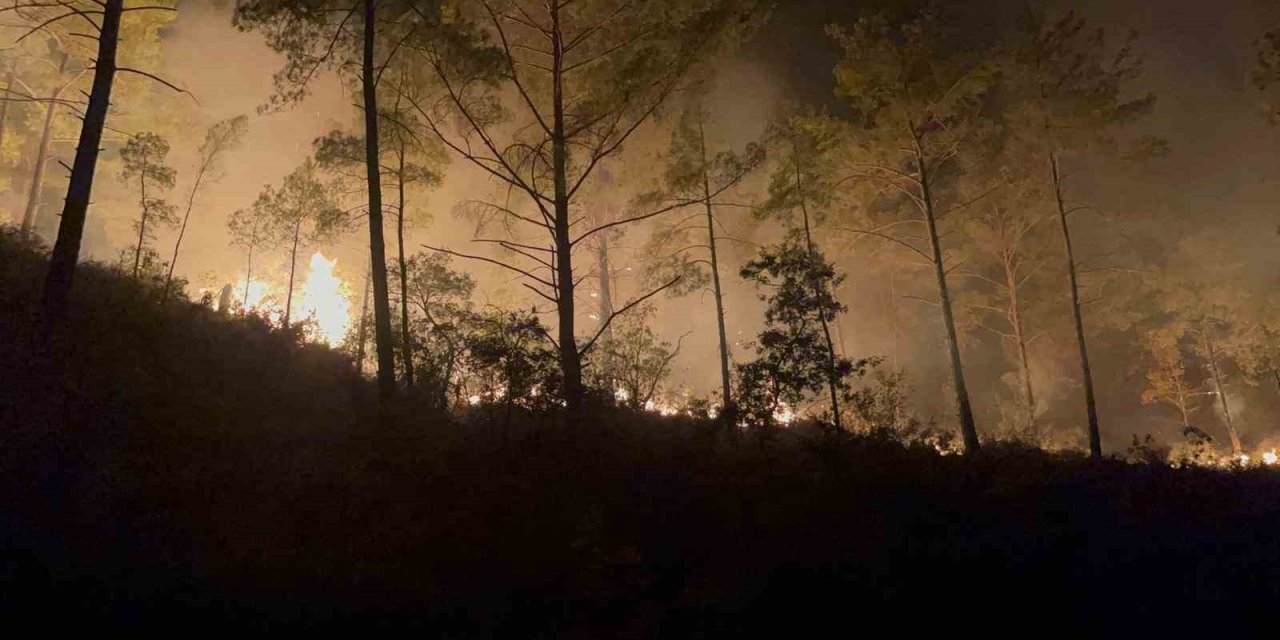 Alanya’da Ormanlık Alandaki Yangın