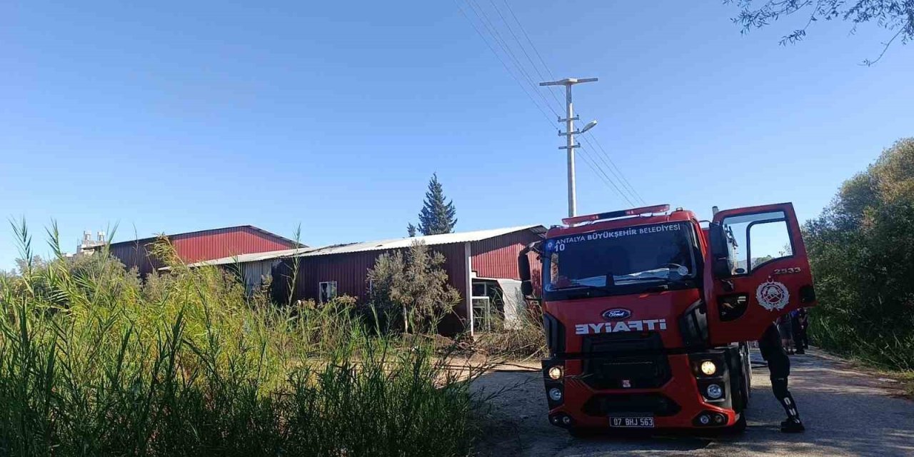 Kamışlık Alanda Başlayan Yangın Gıda Toptancı Deposuna Sıçradı