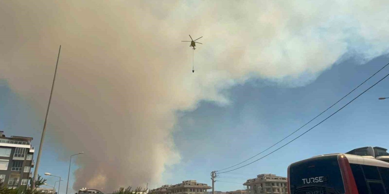 Alanya’da Ormanlık Alanda Yangın