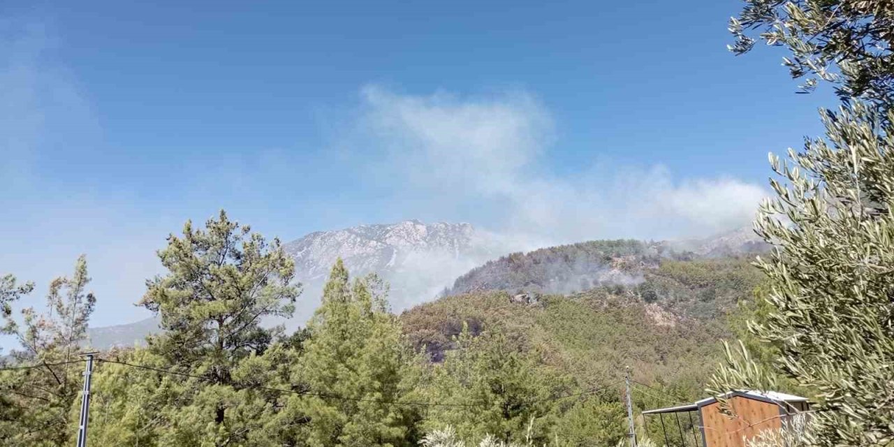 Alanya’da Ormanlık Alan Yangınları Kontrol Altına Alınmaya Çalışılıyor