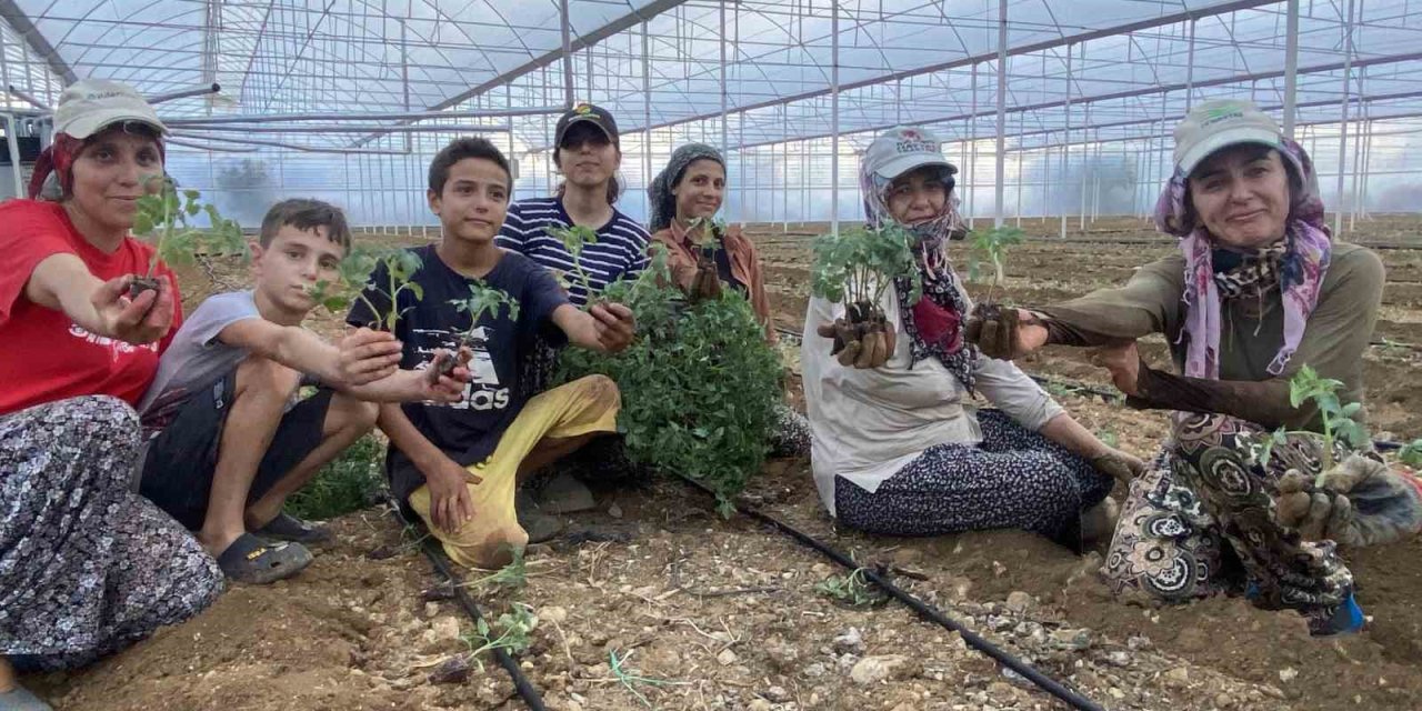 Antalya’da Güzlük Fide Dikimleri Başladı