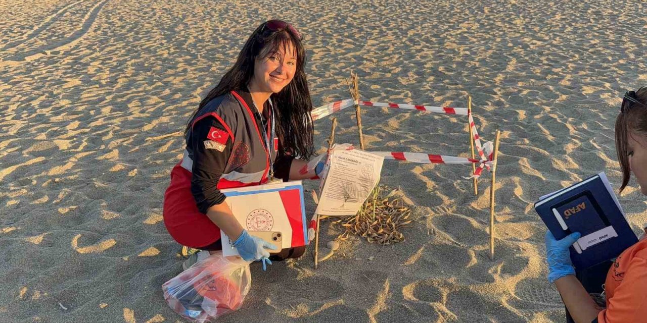 Kum Zambaklarını Koparanın Cezası: 557 Bin Tl