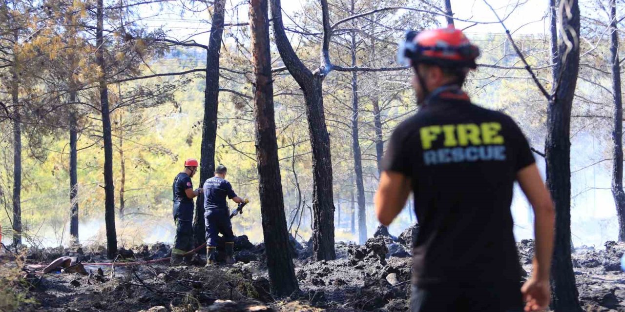 Antalya’da Ormanlık Alandaki Yangın Büyümeden Söndürüldü: Kova Ve Küreklerle Müdahale Ettiler