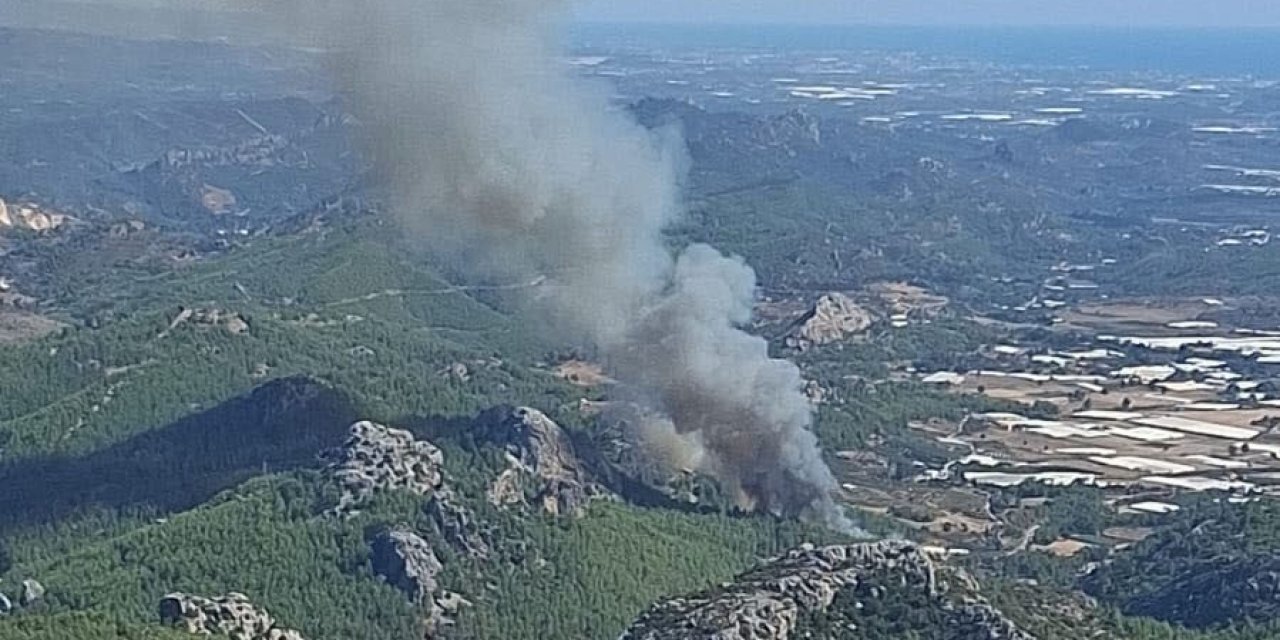 Serik’te Ormanlık Alanda Yangın