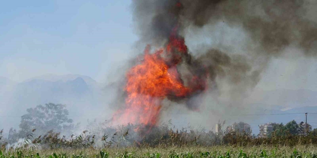 Antalya’da Kargılık Alanda Yangın