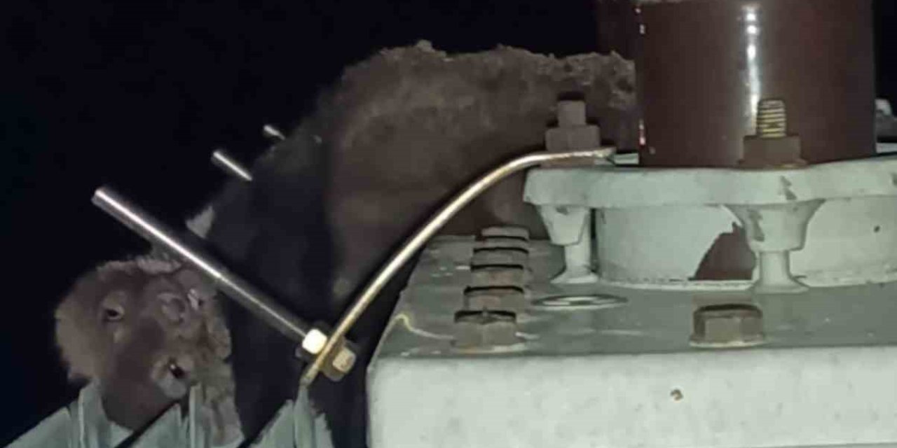 Mahalledeki Elektrik Kesintisinin Sebebi Sansar Çıktı