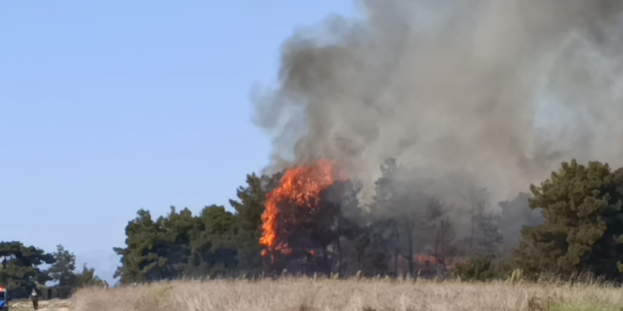 Manavgat’ta Arazide Başlayan Yangın Ormanlık Alana Sıçradı