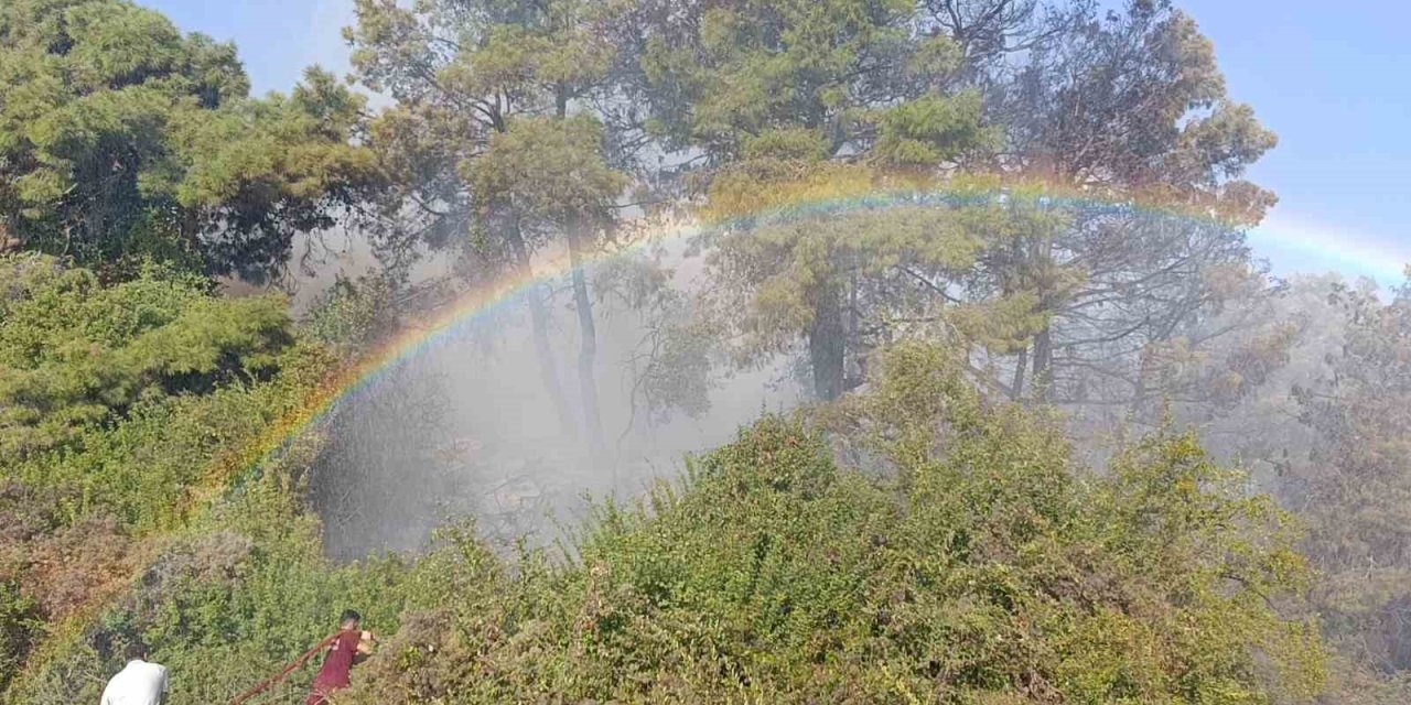 Orman Yangınında Uçaktan Atılan Su Gökkuşağı Oluşturdu