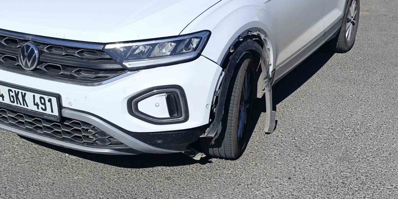 Otomobilin Çarptığı Köpek Telef Oldu