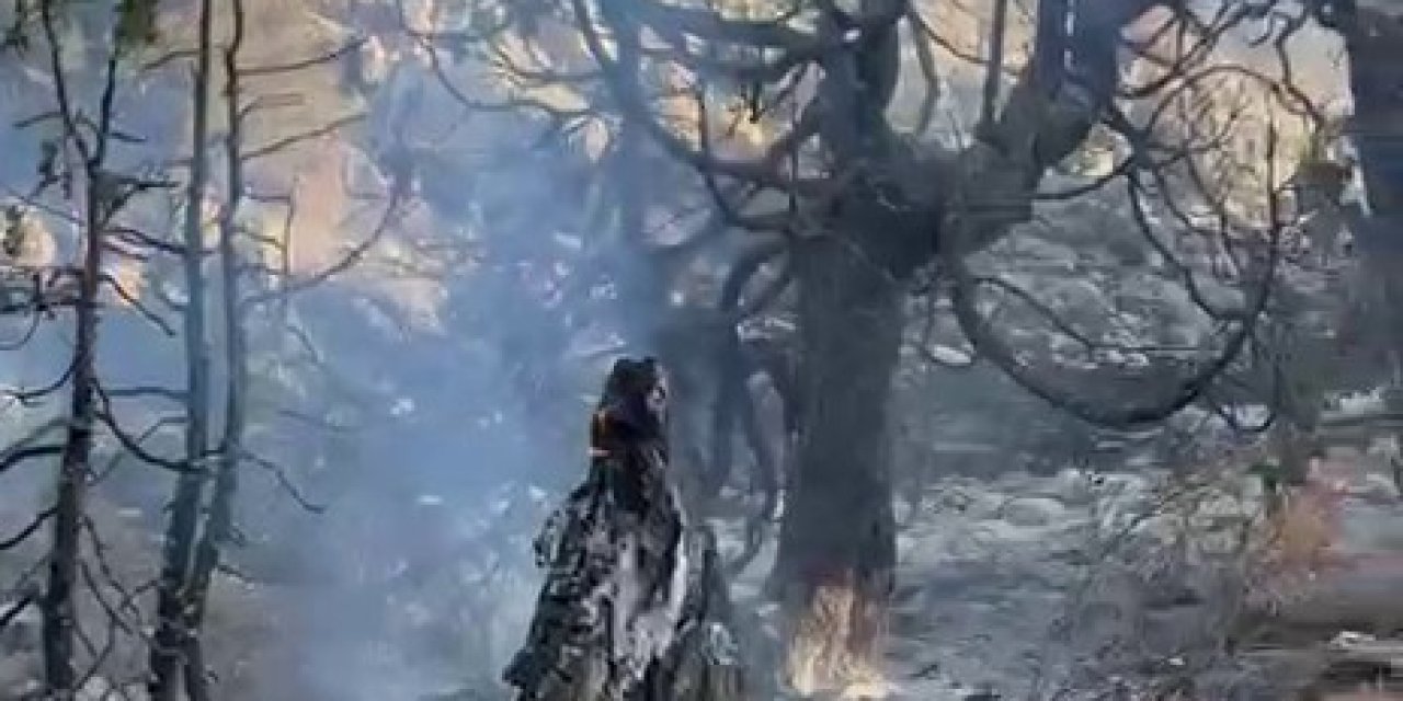 Karaman’da Çıkan Örtü Yangını Ağaçlık Alana Sıçradı