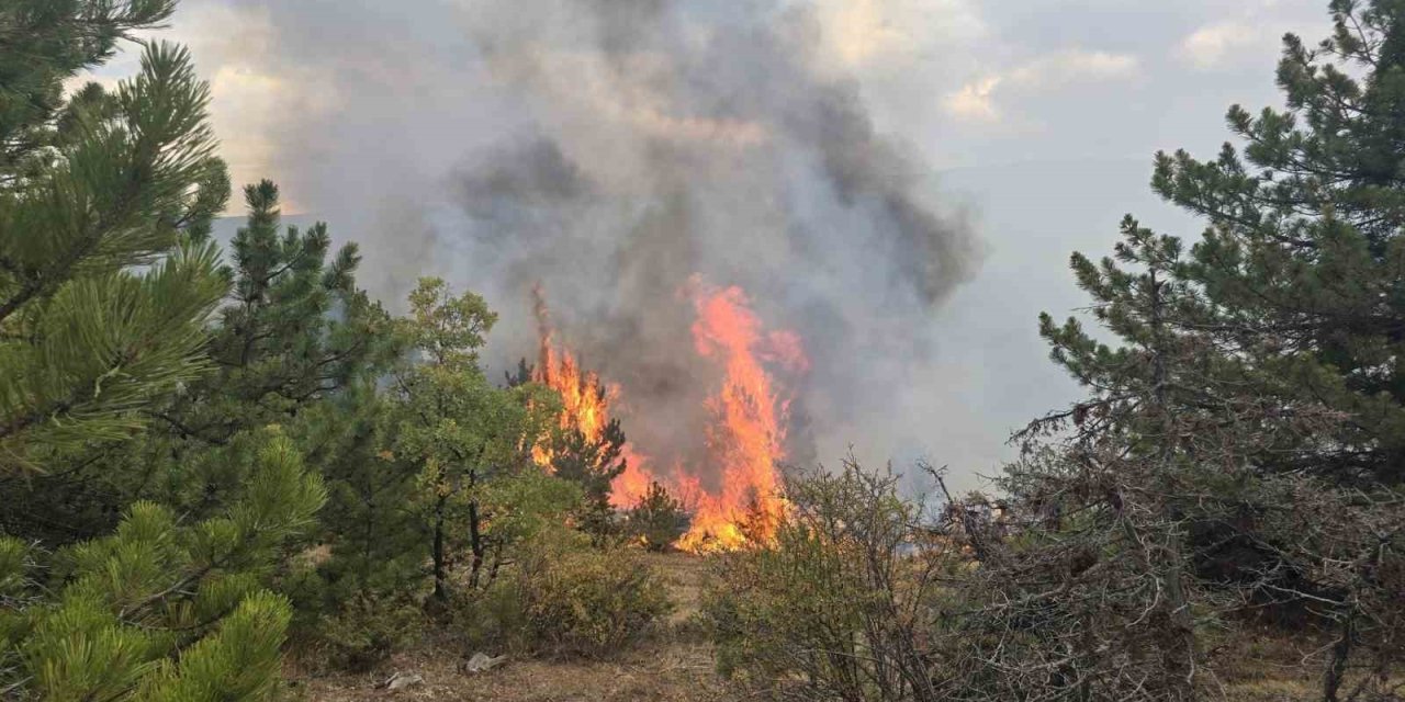 Konya’da Ormanlık Alanda Çıkan Yangın Söndürüldü