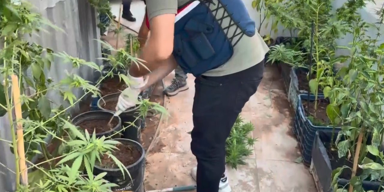Uyuşturucuyu Saksılara Ekip Evinin Çevresine Yerleştirmiş
