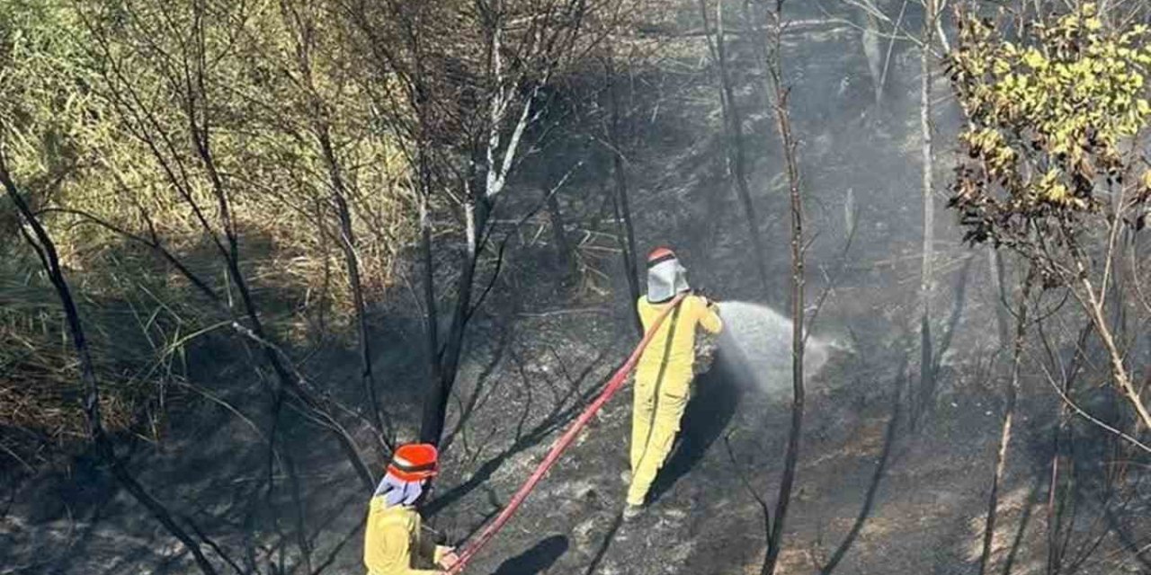 Mersin’de Bahçe Yangını Büyümeden Söndürüldü