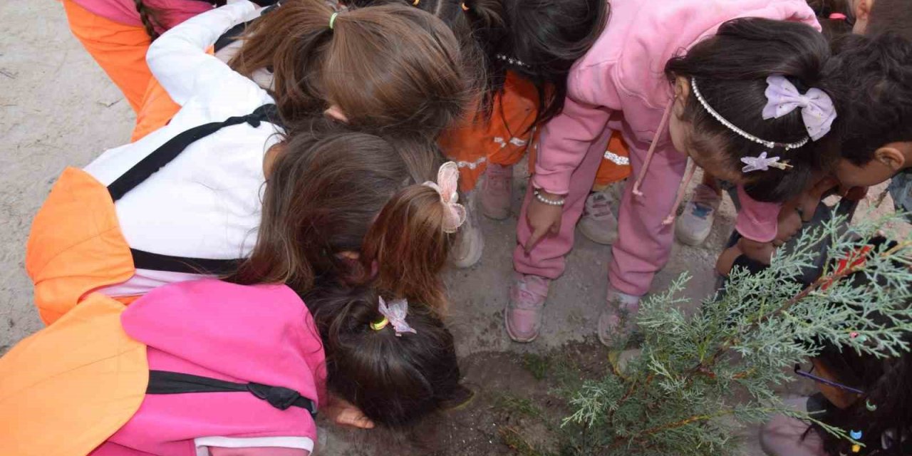 Karapınar’da Minikler Yeşil Çevre İçin Fidan Dikti