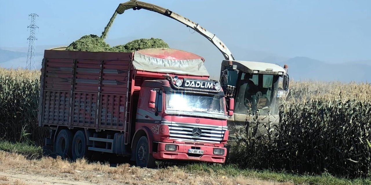 Karapınar’da Mısır Hasadı Başladı