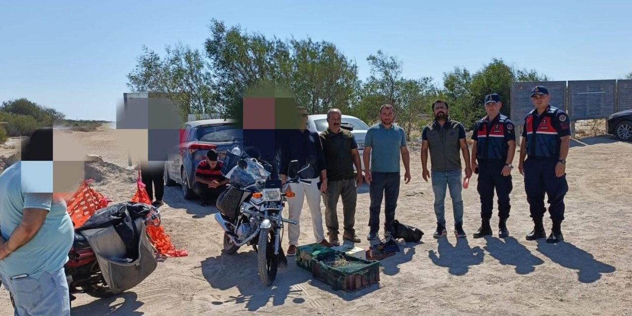 Mersin’de Kaçak Yırtıcı Kuş Avcılığı Yapan 4 Kişiye 143 Bin Lira Ceza Kesildi