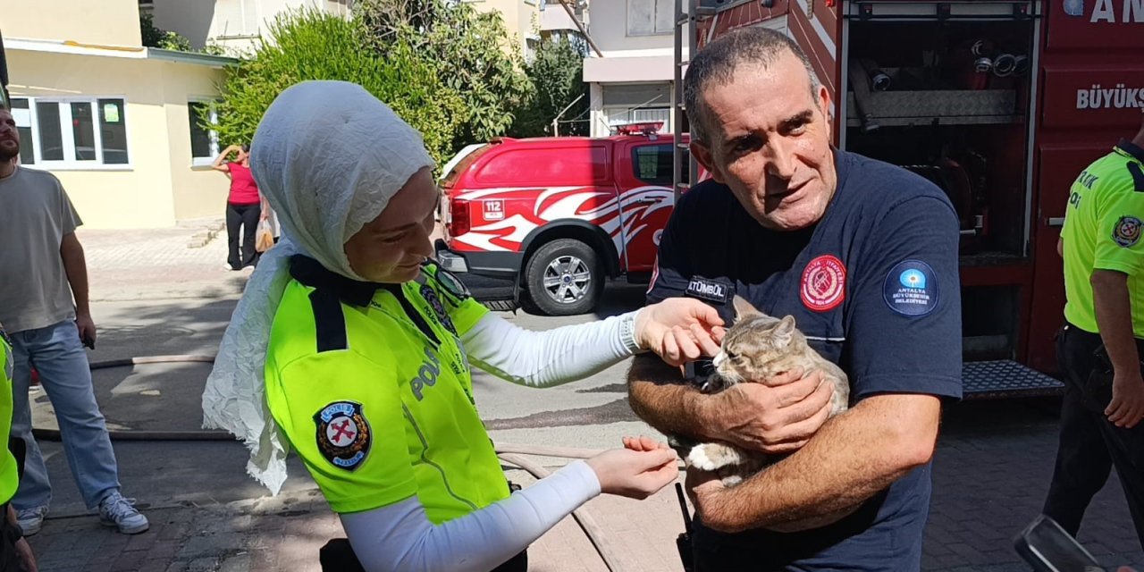 Yangında Telef Olduğu Sanılan Kedi Dolabın Arkasında Saklanırken Bulundu