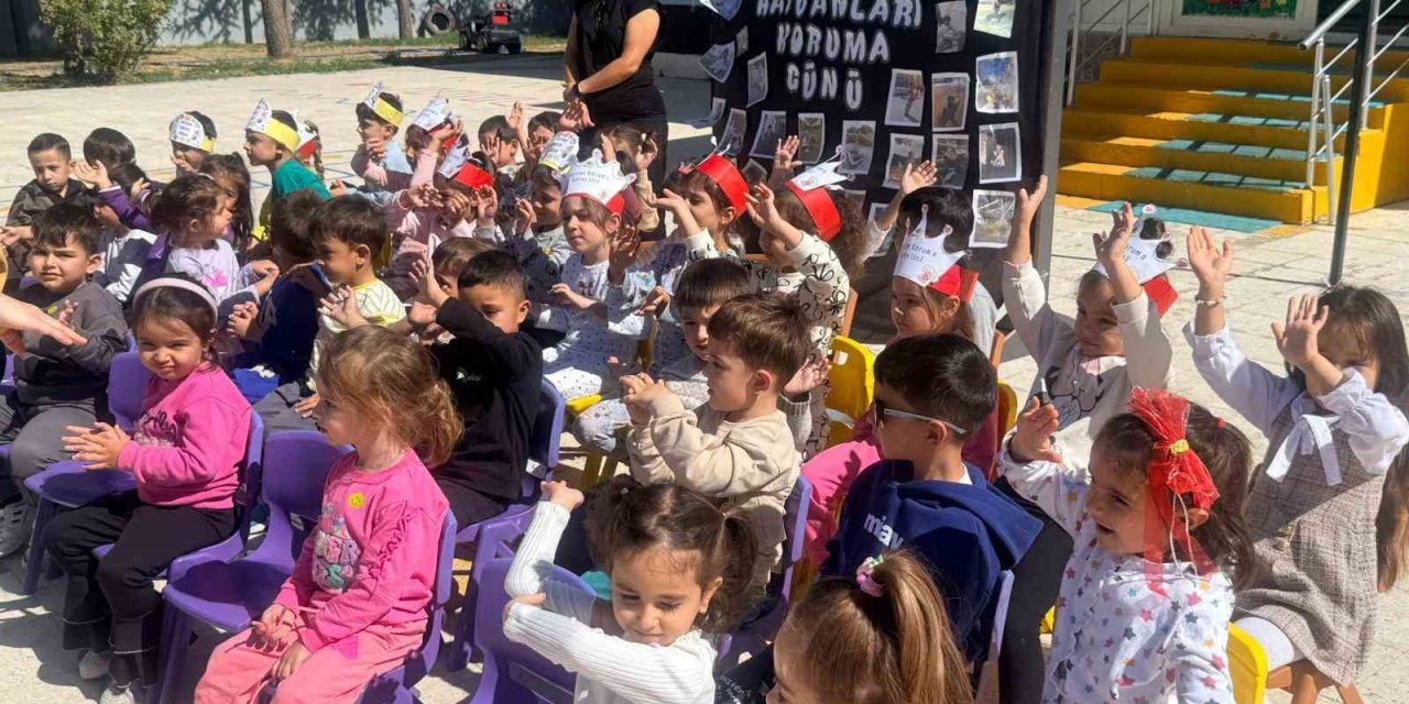 Nöhü’den Hayvanları Koruma Günü Etkinliği