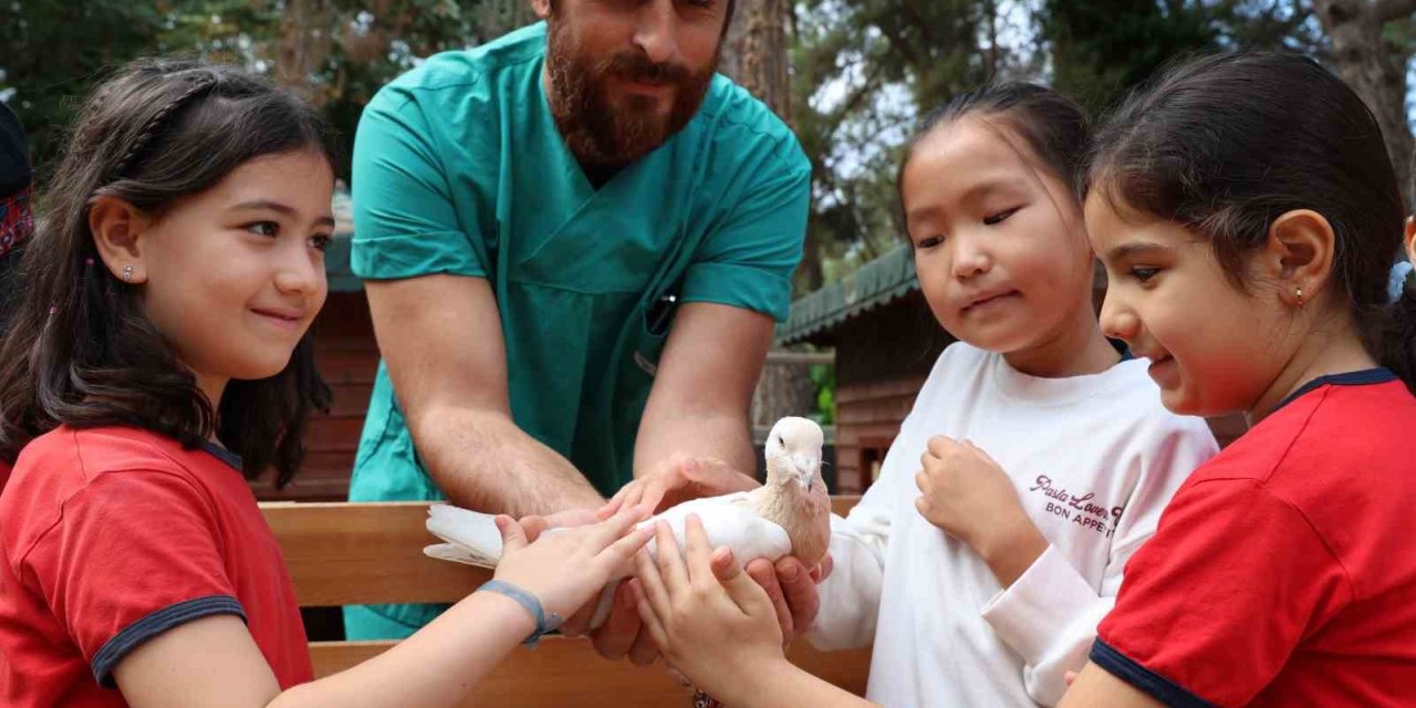 Çocuklar Tedavisi Tamamlanan Güvercinleri Doğaya Saldı
