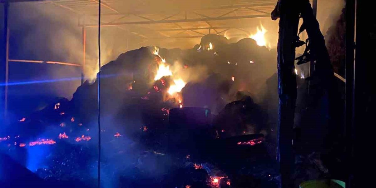 Ahırda Yangınında 1 Buzağı Telef Oldu